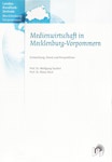 Cover: Medienwirtschaft in Mecklenburg-Vorpommern